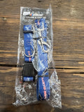 Pet Collar & Leash Set - Chase Elliott Blue #9