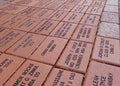 Brick Program